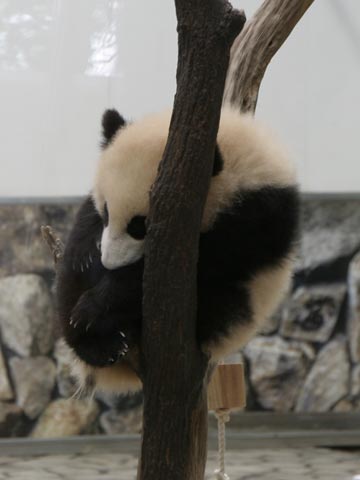 20090312_0638.jpg