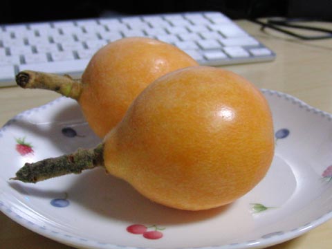 20090619_1.jpg