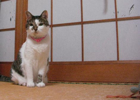 20090816_4947.jpg