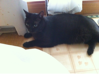 image-20100831231013.png
